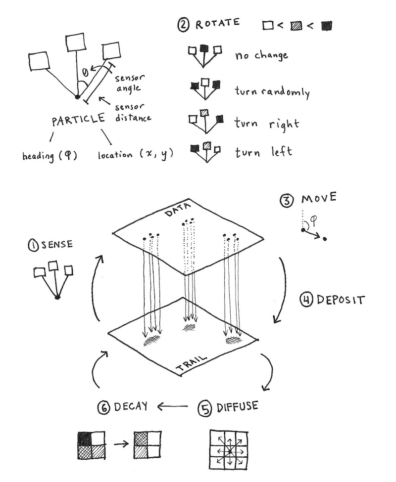 linear scaling with number of steps